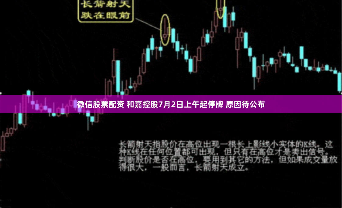 微信股票配资 和嘉控股7月2日上午起停牌 原因待公布