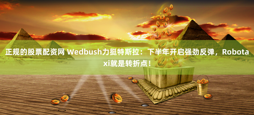 正规的股票配资网 Wedbush力挺特斯拉:下半年开启强劲反弹,Robotaxi就是转折点!